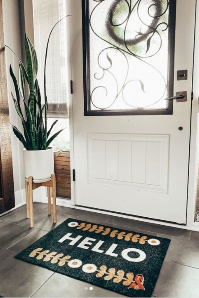 Interior front door design with welcome mat and snake plant